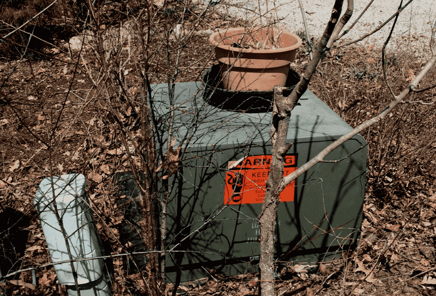 small tree and bushes too close to pad-mounted transformer