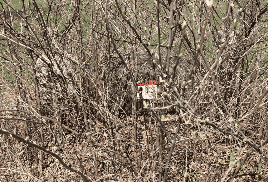 bushes surround pad-mounted transformer