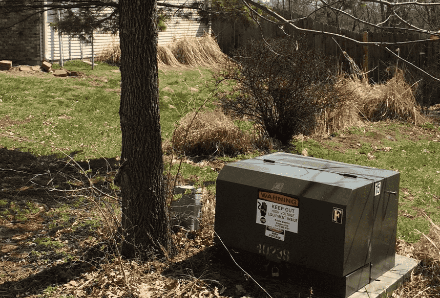 tree too close to pad-mounted transformer